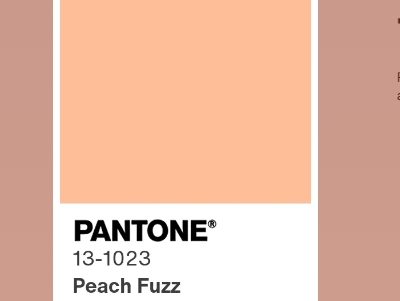 Explore color of 2024 with Pantone